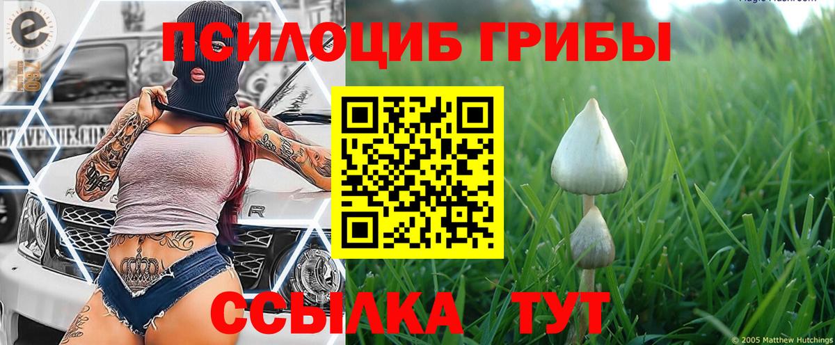 Сибай  Псилоцибиновые грибы мицелий  Вход с VPN 