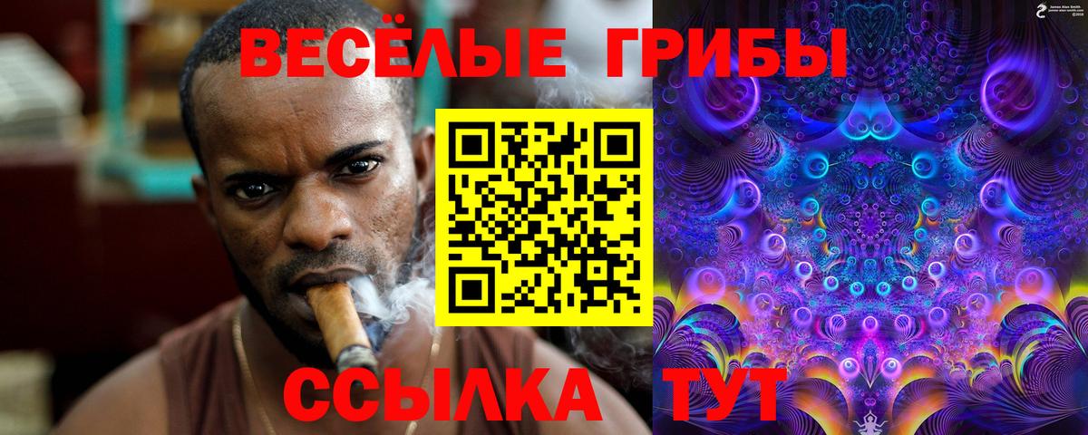 Псилоцибиновые грибы Magic Shrooms Сибай
